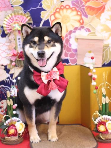 20240114ココくん